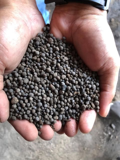 Organic Fertilizer